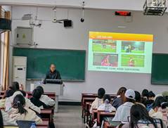 cbe782afd085056bb5747d942d8ae3e